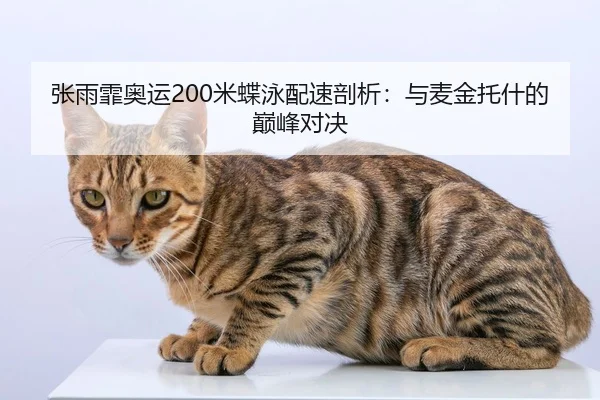 zhang-yu-fei-ao-yun-mi-die-yong-pei-su-pou-xi-yu-mai-jin-tuo-shen-de-dian-feng-dui-jue-3-970.jpg